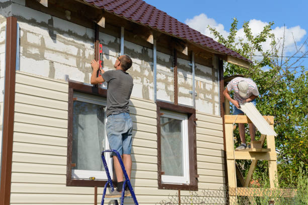 Best Historical Building Siding Restoration  in Pine Mountain Clu, CA